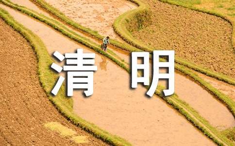 职业篮球运动员如何保持战术训练的高效性？_1