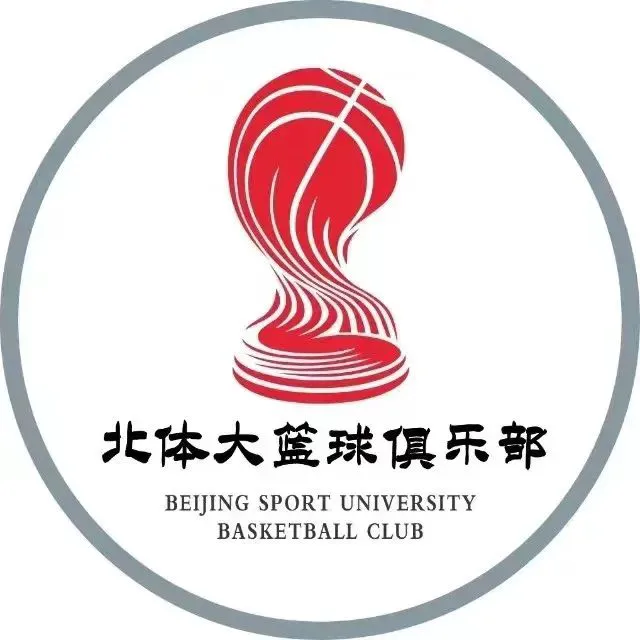 绳梯训练篮球_2